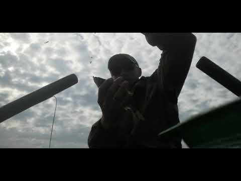 Душевная рыбалка Зачетная красноперка и плотва Поклевки на