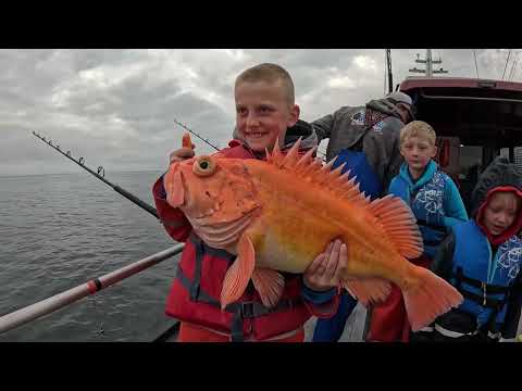 1 Week Fishing Camping Hiking Adventure I Flew a Family of