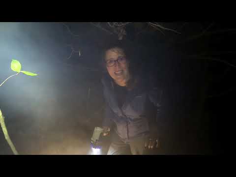Camping Campfire Cooking on Halloween Pork Cider Stew