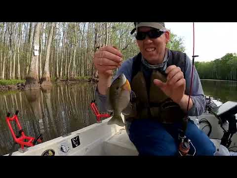 3 Days Fishing Camping Exploring Swamp Catching Catfish Gar
