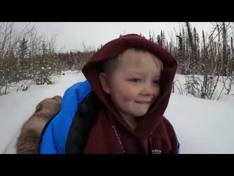 Camping in 16 Winter Bushcraft Shelters