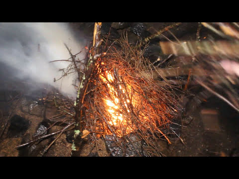 How to build a fire in a RAIN STORM Survival tips and hacks