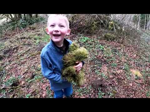 Plane Crash Survival Camping Bushcraft Shelter Surviving