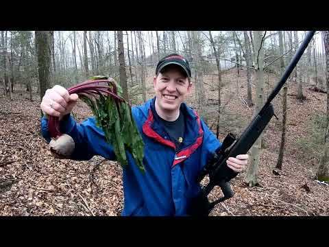 Catch Clean Cook Vegetables Hunting Shooting Eating Wild