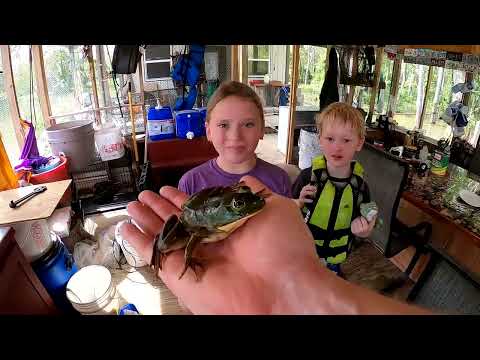 5 Days Fishing Camping in Swamp Catch Cook Frogs Gar Crabs