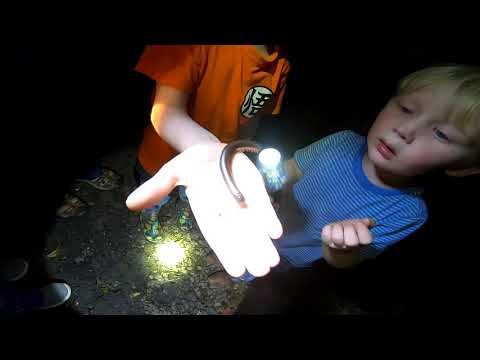 Toad Hunting and front yard fires with family