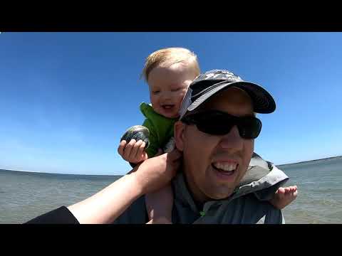 Catch Cook Clams Shelling Clamming on Deserted Island in