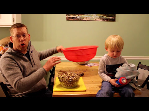 Black Walnuts Harvesting Processing and recipes Survival