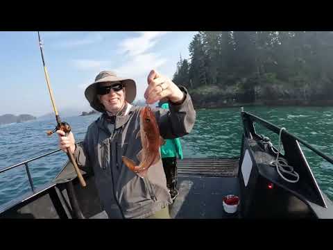 Fishing Swimming with Orcas while Camping in Alaska on an