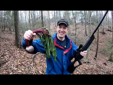 Funny Videos Memes Fails clean Best of Outdoor Boys