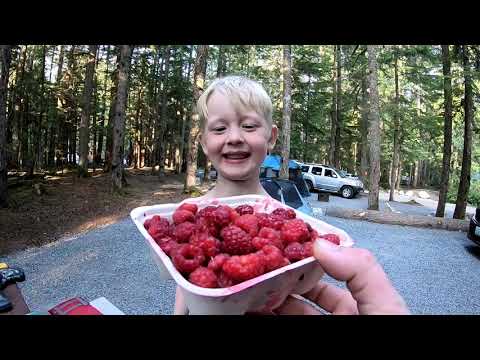 Fishing British Columbia Giant sturgeon camping and
