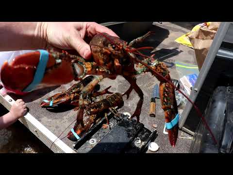 Outdoor Cooking Lobster Rolls Cheese Steak with Old Bay