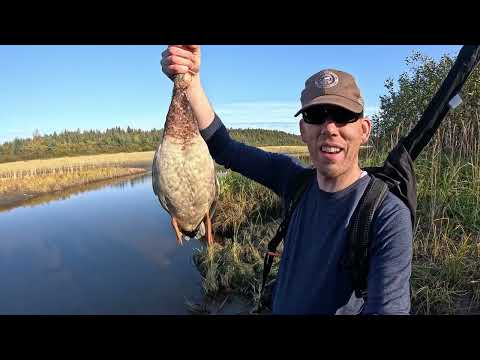 4 Days Solo Camping on Island Full of Whale Bones Grizzly