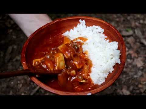 SUPER EASY Camping Meal Chicken Curry on Rice