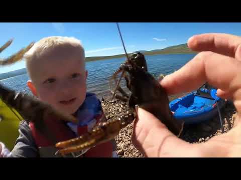 Crawfish Catch Cook Camping on Deserted Island Fishing