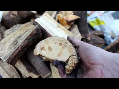 DIY forge and black smithing set up