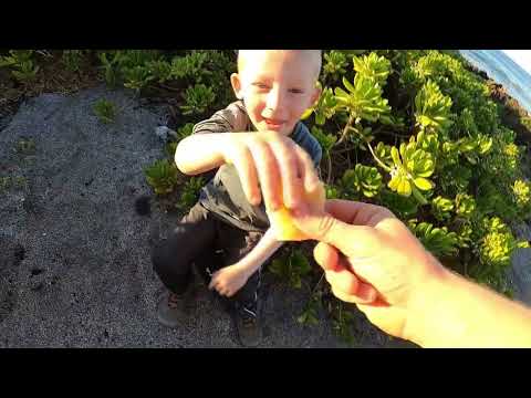 Remote Camping on Tropical Volcano 20 Mile Hike
