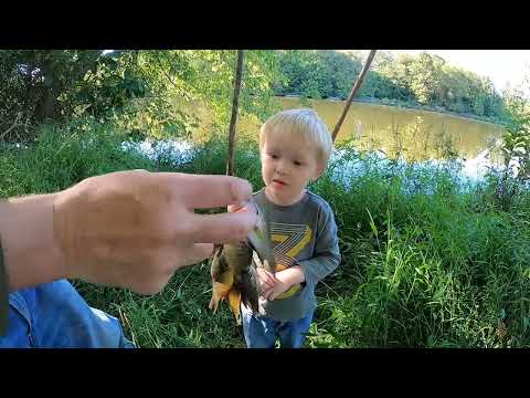 Survival Fishing Catch Cook NO Hooks Rods Reels Survival