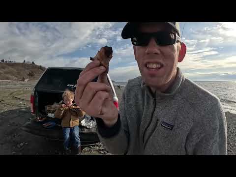 Halibut Catch Cook While Beach Camping in Alaska