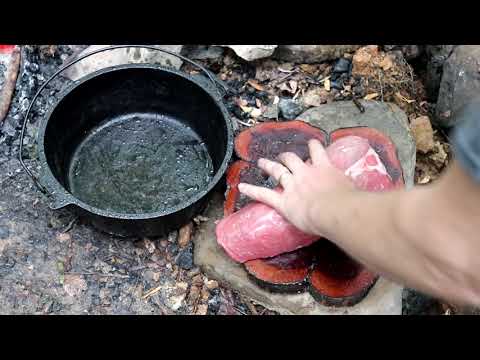 Primitive Cooking Campfire Beef Stew Corn Bread Recipe