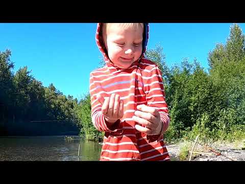 Camping Fishing an Alaskan Salmon River Camp Catch Cook