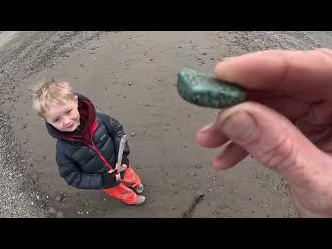 3 Days Stranded in Alaska s Bear Country Camping Foraging