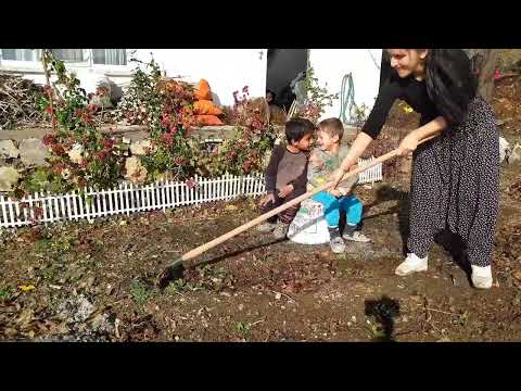 Köyde Yaşam Köy Evimde Bahçe Temizliği Yaptım
