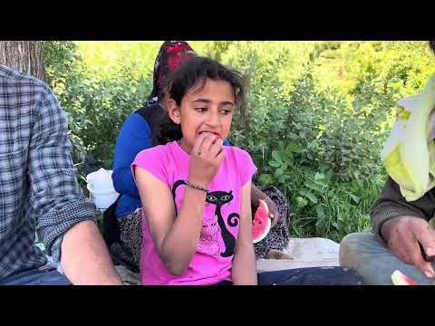 Ailecek Tarlada Bir Günümüz Dikim Zamanı Köy İşleri