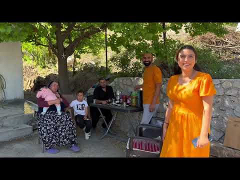 Dağ Köyünde Günlük Hayat Dağ Kekiği Toplama