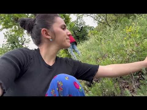 Bu Videodan Sonra Hasta Olmayacaksınız