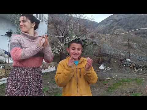Pakistan dan Gelen Yeni Çadırım Zeytin Ağacı Dikimi Kənd