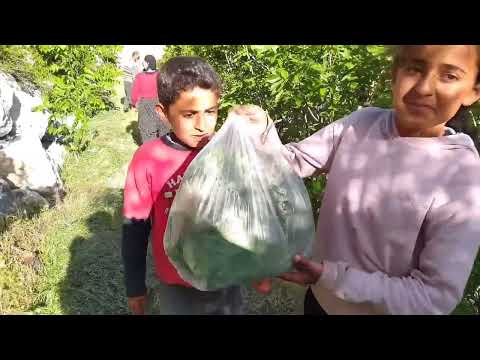 Köyde Yaşam Sobada Çay ve Mücver Pişirdik Görümcem ve
