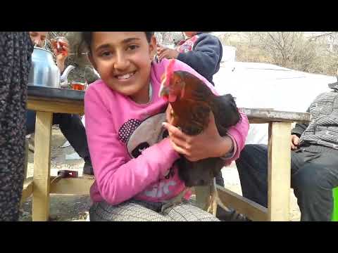 Köyde Çadırdan Oda Banyo Ahır Yaptık 1 1 Çadır Turu