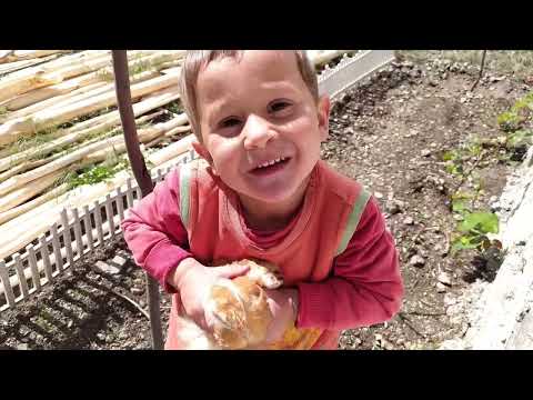 Sel Bölgesinde Yaşamak Çınar la Bahçede Sohbet