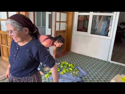 Sert Kış Gelmeden Önce Bütün Kışa Yetecek Erzak Depolama