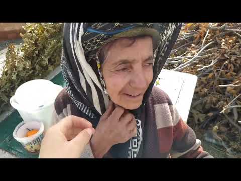 Köyde Bir Günümüz Son Sebze Hasadımı Yaptım