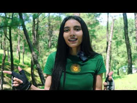 I Found the Perfect Forest to Camp Alone Solo Female Camping