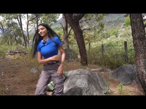 Solo Female Camping in Himalayas India Forest Camping In