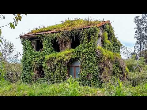 Three Men Clean 70 Year Old Buried House and Give It a