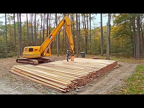 Couple Builds OFF GRID CABIN in the Michigan Forest Start