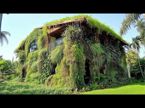 Two Men Clean Abandoned Old House and Give It a Second Life