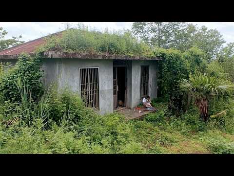Volunteers Transform Old Lady s Overgrown House for Free by