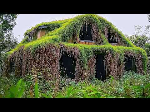 Men Clean 30 Year Abandoned Buried House and Uncover What s
