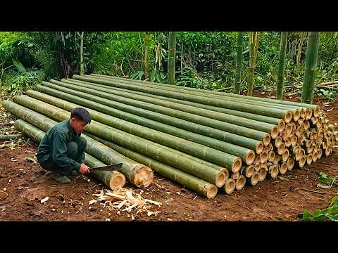 Man Builds DIY Villa In The Jungle Start To Finish By Mr