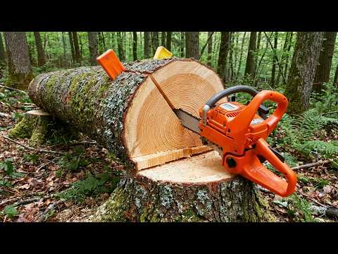 Amazing Tree Falling Technique with an Hydraulic Jack by