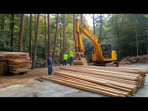 Couple Builds OFF GRID CABIN in the Michigan Forest Start