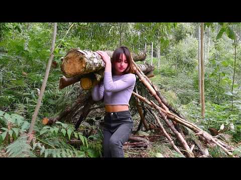 Young Woman Builds a Survival Shelter in the Wild Start to