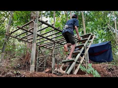Man Builds TWO STORY Bamboo Cabin in the Jungle in JUST 3