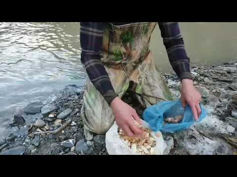 Zap Suyunda Balık Avı 3 Fishing Super Technical