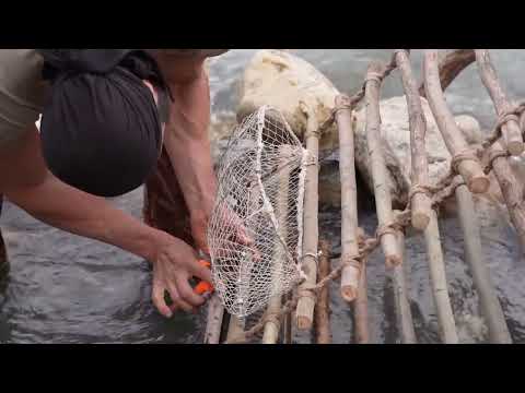 FİSHİNGMATİK Fishing Technique BALIK MATİK İncredible